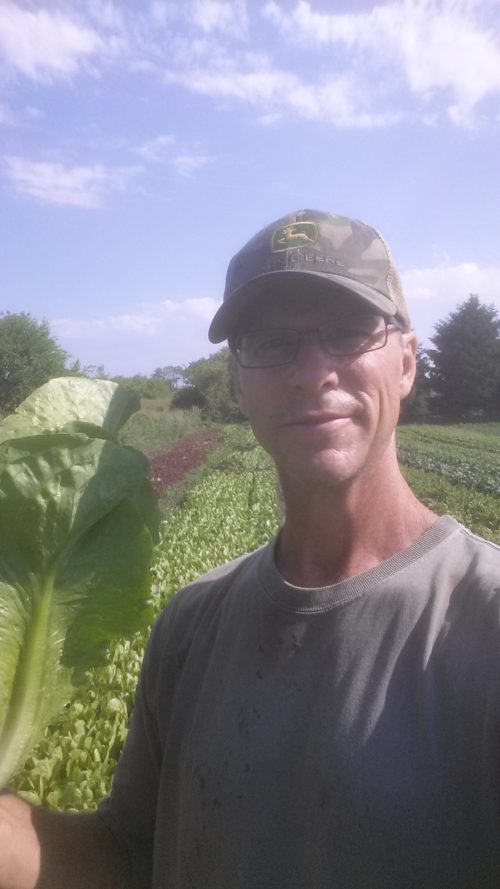 denny is harvesting lettuce
